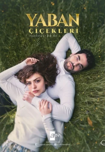 Полевые цветы